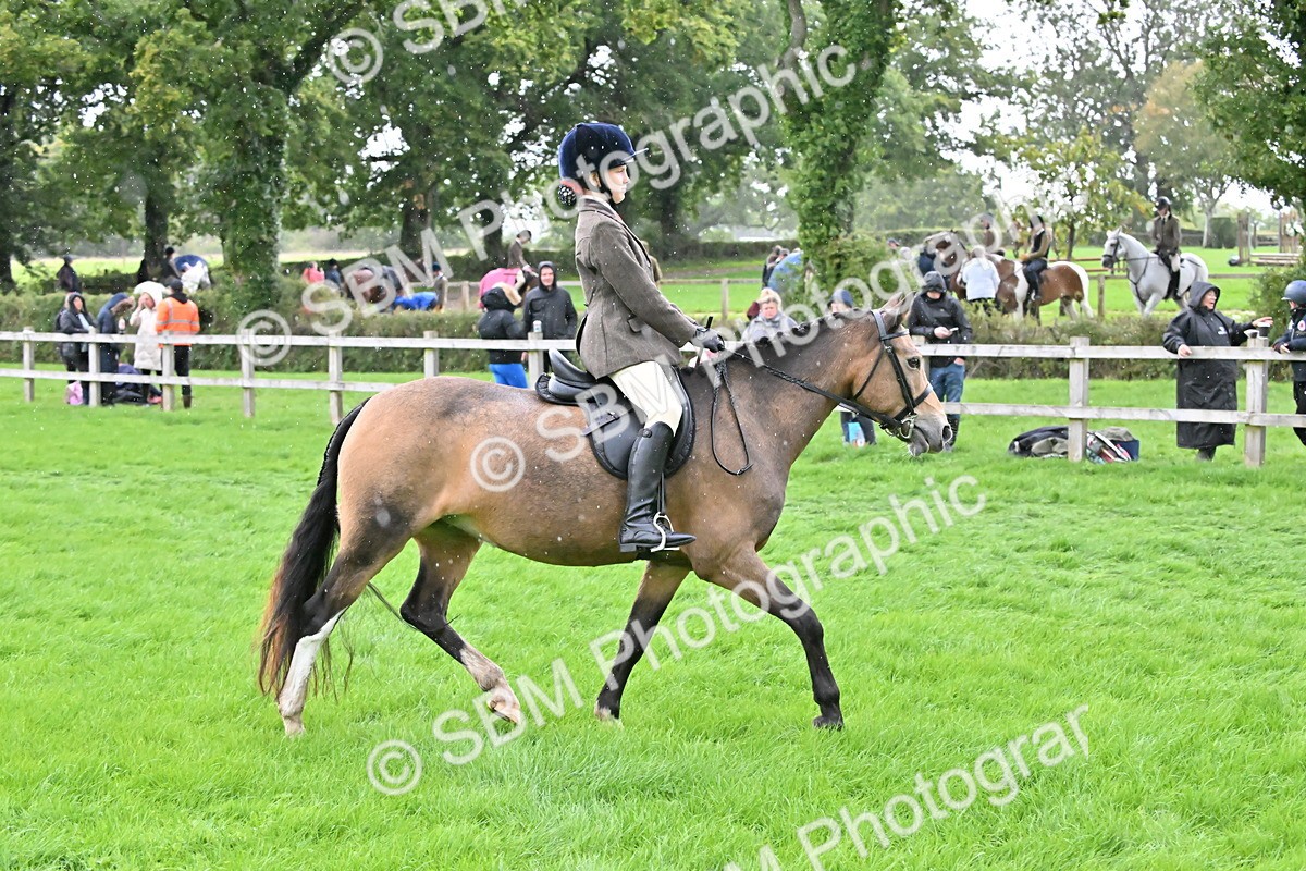 SBM_42944 - S12 - Family Horse & Pony
