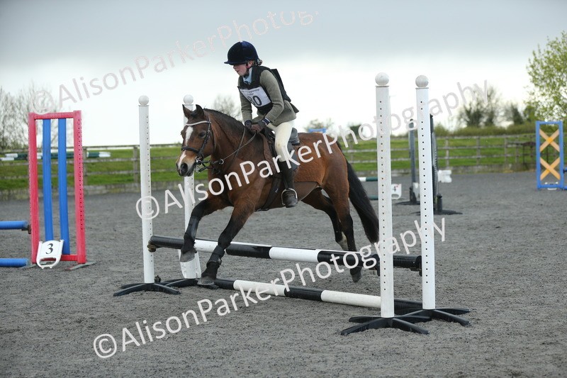 20260412-1911 - Show Jumping
