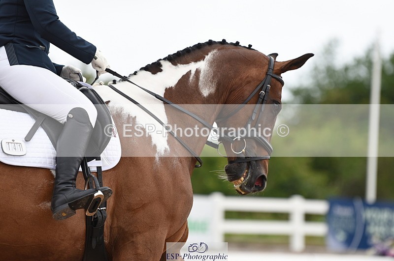 230630A-104650-00866 - Cls 4 Novice 23 Start to 11.30 break