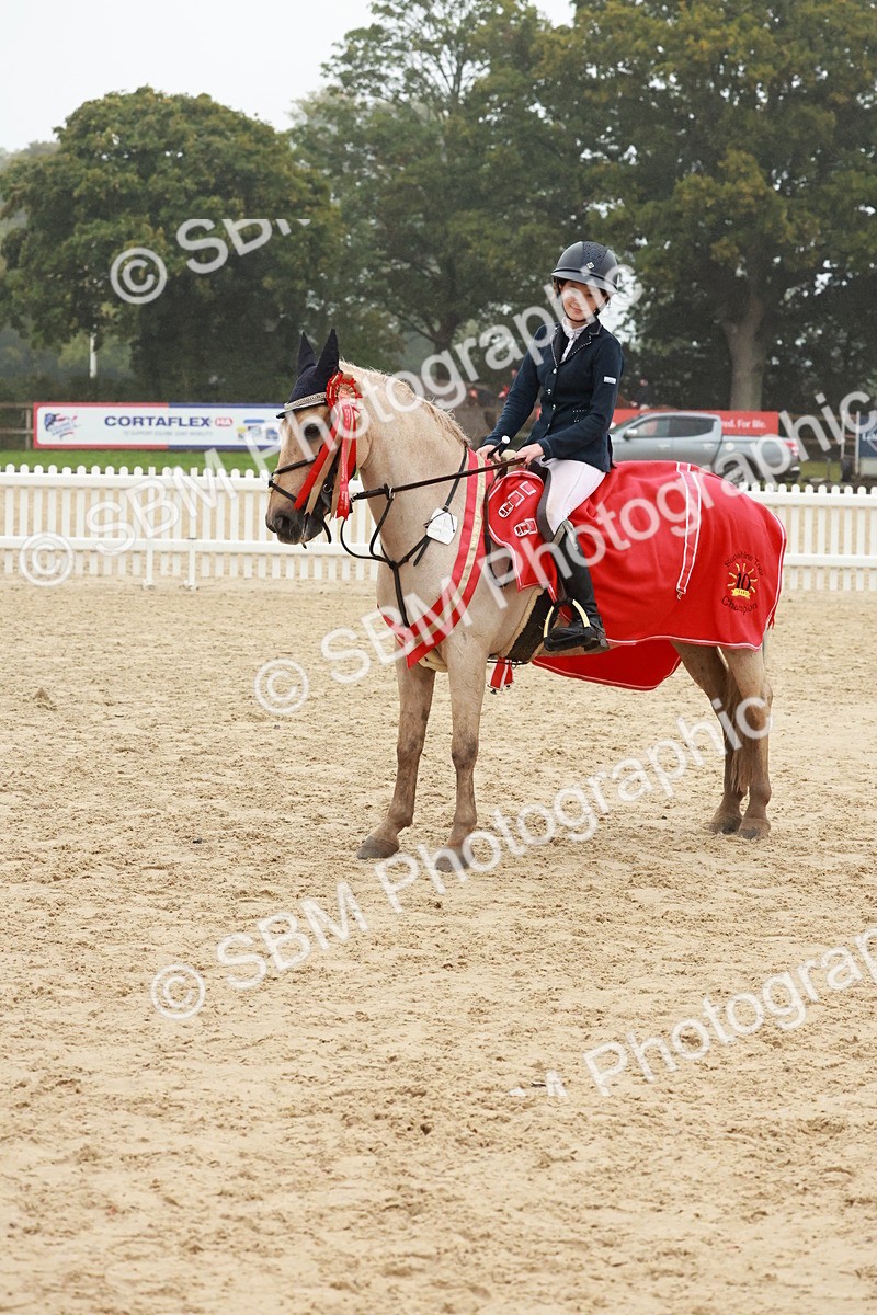 SBM_73519 - Supreme Championship Junior Pony 60cm & 65cm
