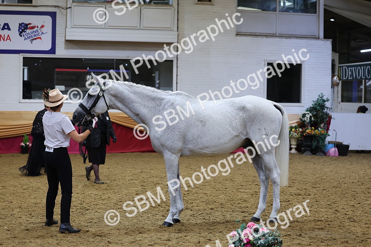 SBM_20906 - Class 902 - Supreme Final IH Veteran