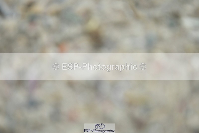 230708A-141749-02911 - Elementary 43