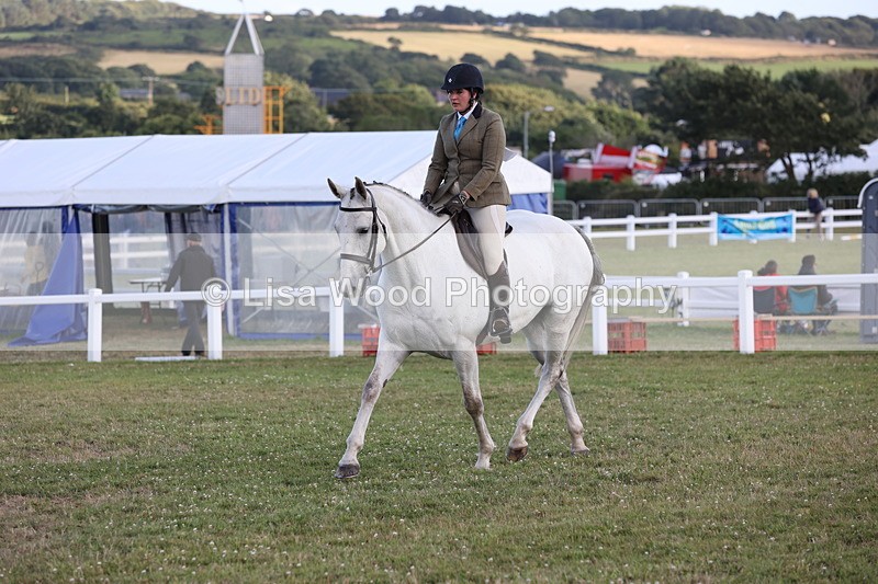 JPP_3558 - Class 22: Working Hunter 90cm