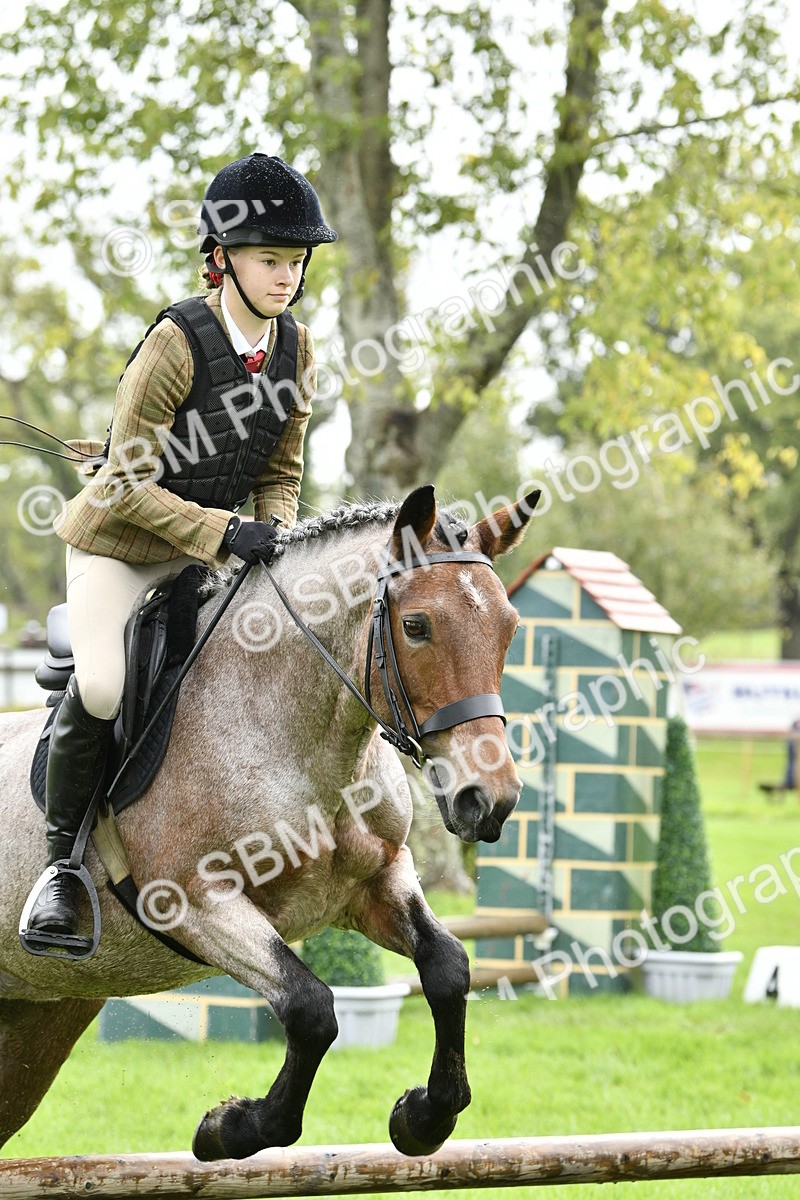 SBM_41462 - S32 - Mountain & Moorland Working Hunter Pony