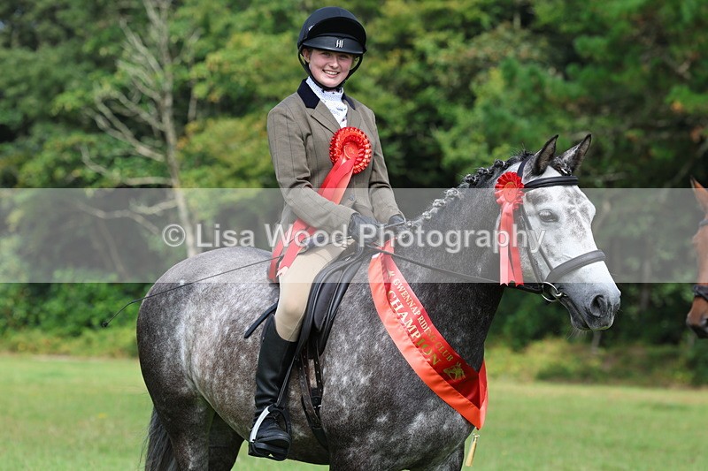 3E7A6172 - Working Hunter Championship