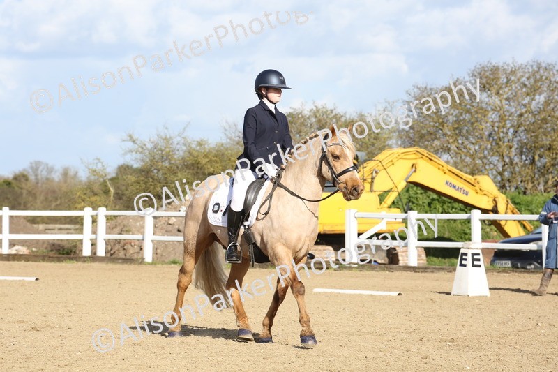 20260314-5167 - DR6 - Novice 2