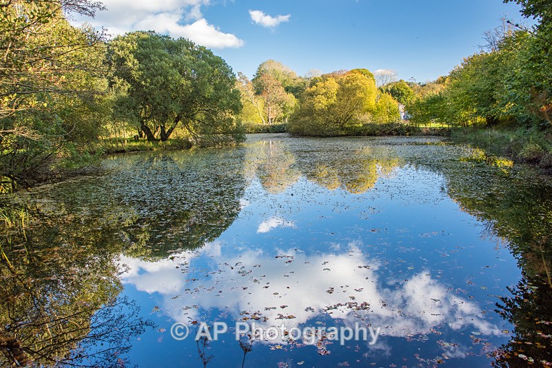 ACP_5268-1 - Lakes