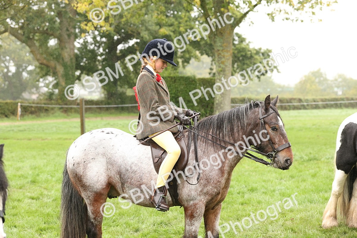 SBM_72798 - S70 - Traditional Cob Ridden