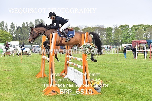 BPP_6510 - CLASS 1 Senior Newcomers/ 1.10m Open