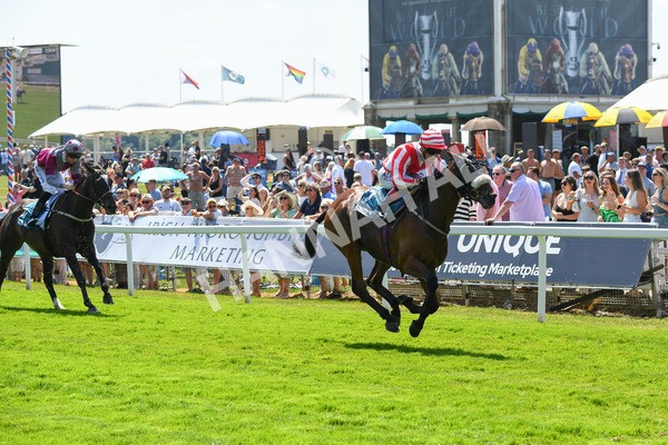 160623-Race 1-Menelaus-0184 - Race 1 1.50pm Andy Thornton Hospitality Furniture Apprentice Handicap
