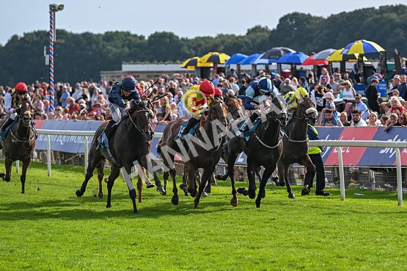 060926-Race 6-Power Fizz-8765 - Race 6 4.25pm Eboracum Security Handicap