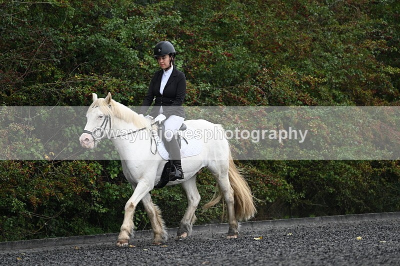 WJ7_2823 - Time 09:00 to 09:35