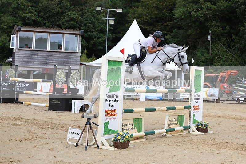 3E7A4494 - Class 8: Senior Foxhunter/1.20 open