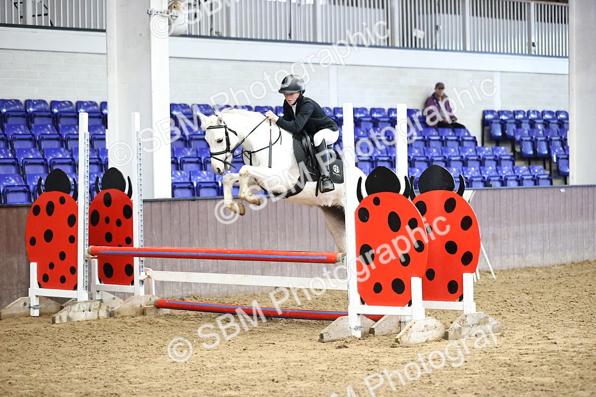 SBM_001510 - Class 9 - Pony British Novice 80cm
