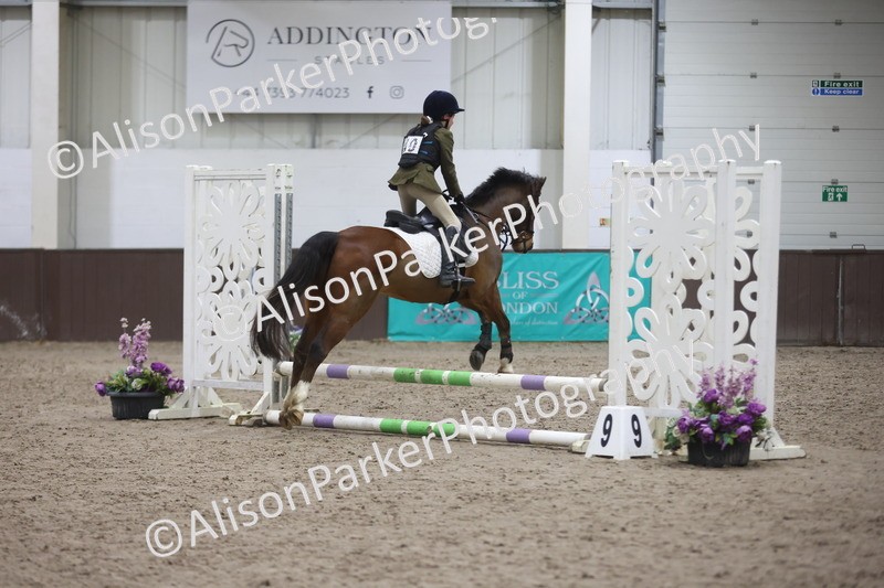 20260125-1612 - Class 2 - 50cm