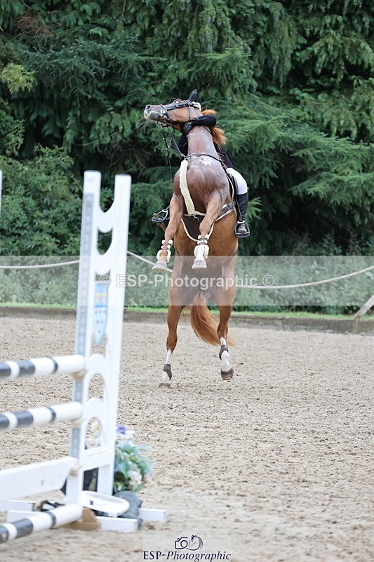 250705A-113932-14112 - Cls 34 4 Year Old Qualifer