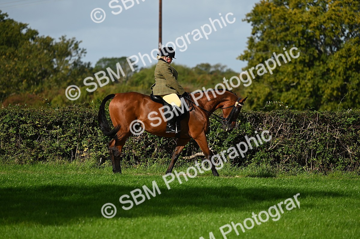 SBM_01370 - S2 - TSR Ridden Horse Showing