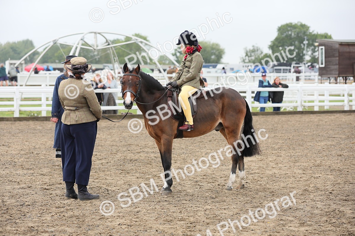 SBM_21831 - Class 806 - Young ridder 10 Yr & Under
