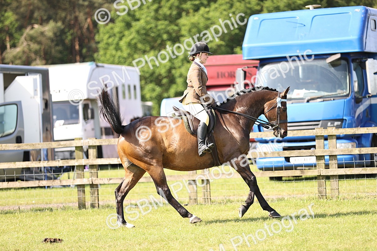 SBM_12897 - Class 75-76 LIHS BSHA Rising Star Hack Riding Horse