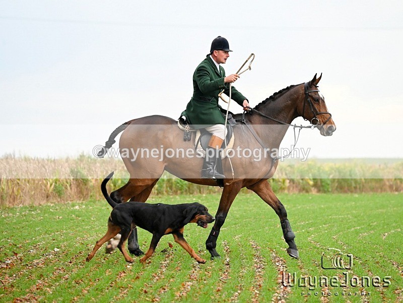 WJ6_9408 - Edited examples