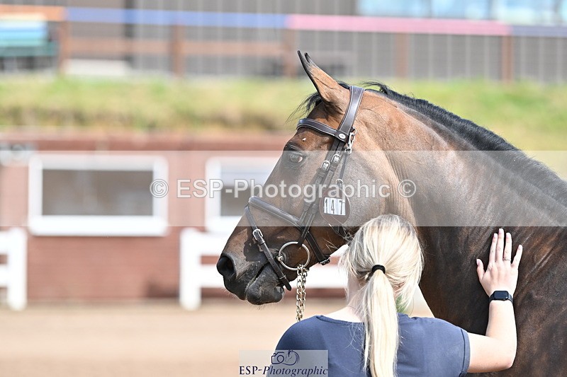 240717A-155459-03181 - Trot Up 3pm to 4pm