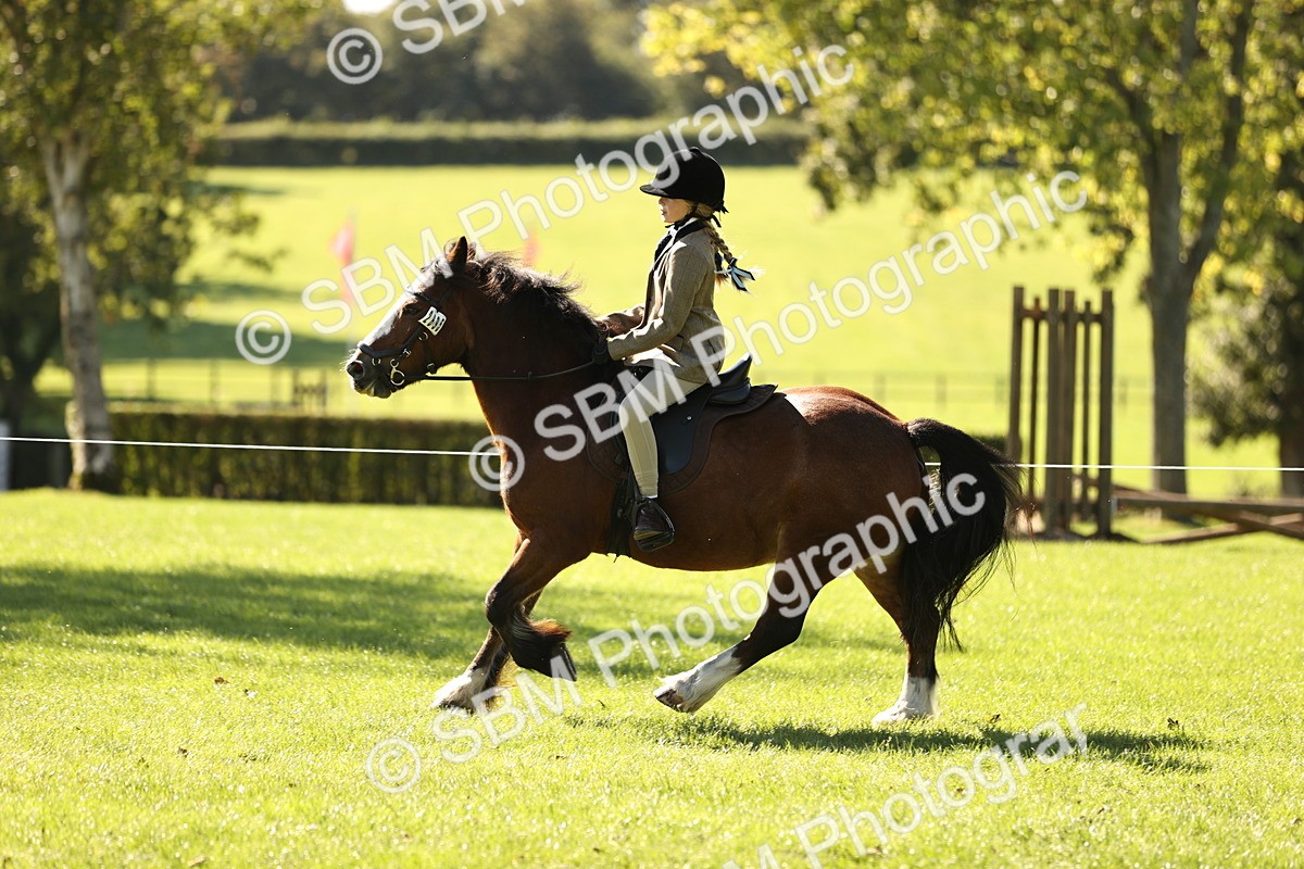 SBM_19161 - S3 - TSR Ridden Pony Showing