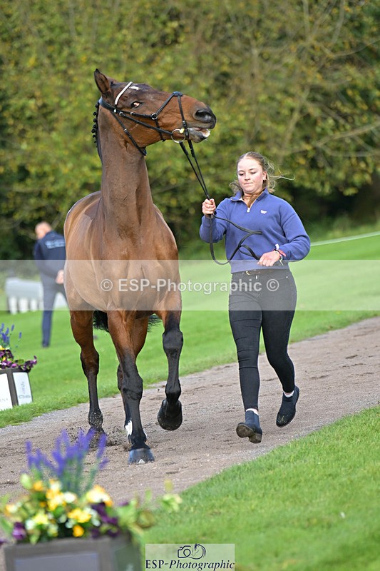 241023-131336-00141 - 008-Charlie.Piper-ZADOK.D