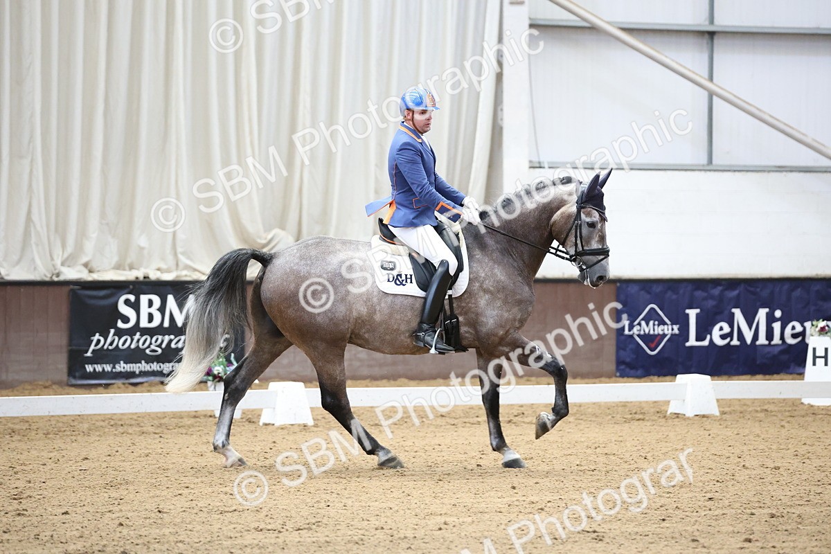SBM_002092 - Class 5 - Novice 6 Gold - 9.00-10.10