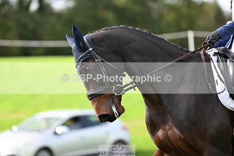 241025-122623-07291 - 553-Hanna.Bertorelli-BWTH.CLASSIC.CUT