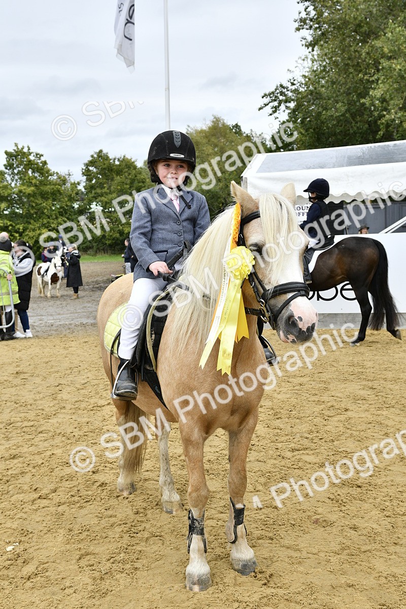 SBM_66244 - J2a mini Tour Junior Pony 30cm Championship
