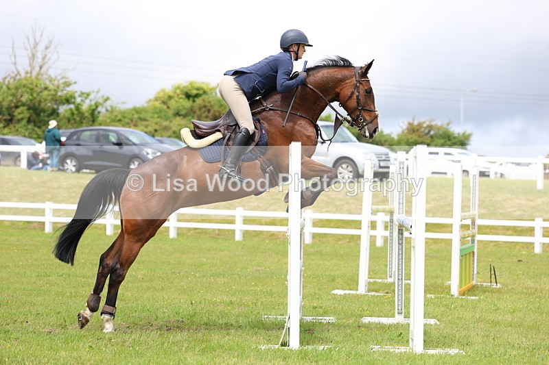 3E7A7115 - Class 12: Senior Foxhunter/1.20 open