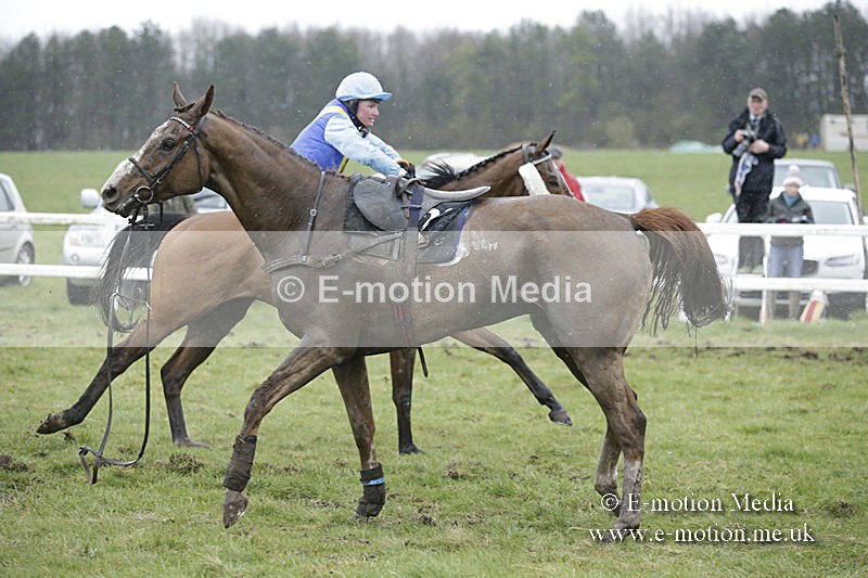 PtP 150320 0375 - New Forest Point-to-Point Larkhill 15/03/20
