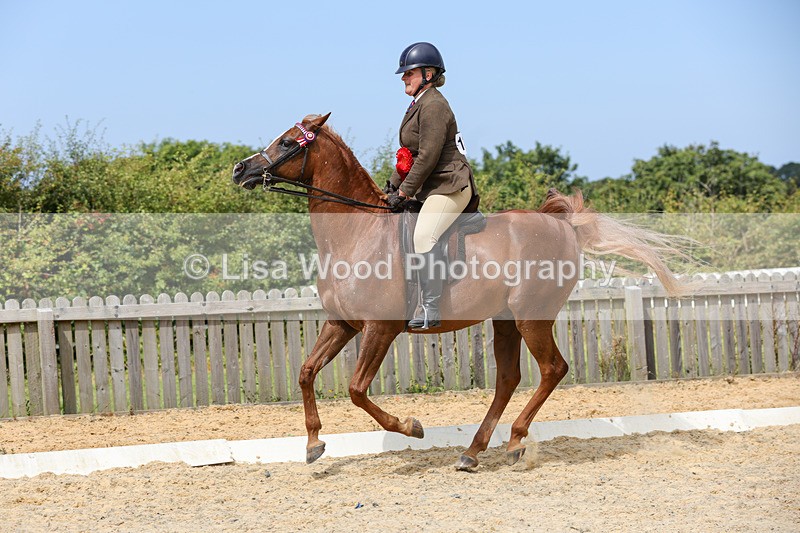 1X9A8495 - Ridden Championship