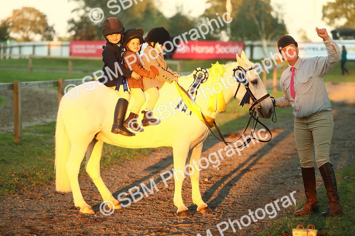 SBM_56739 - Fun & Versatile Supreme Championship