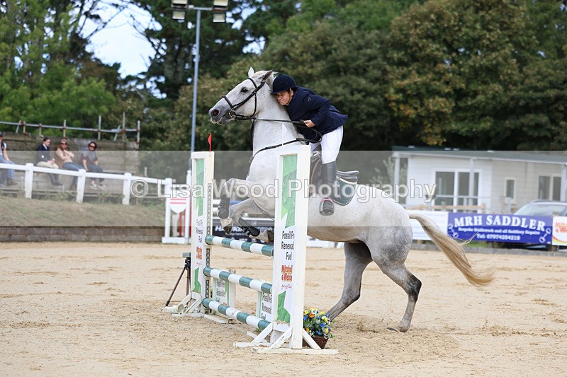 3E7A2019 - Class 4: Senior British Novice/90cm open