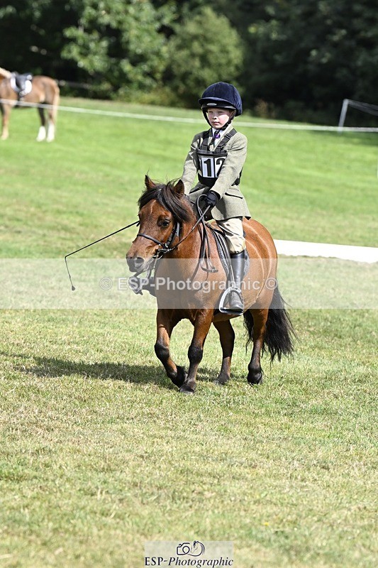 250822A-115727-22477 - DR 11.00 to 12.00