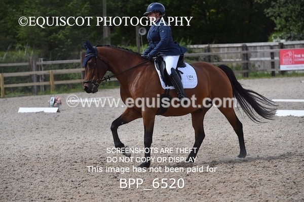 BPP_6520 - 24 L HAMILTON