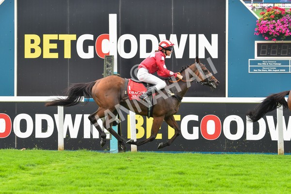 100923-Pony Race 2-1718 - Pony Race 2 12.45 The Dragon (TV and Film) Studios Pony Race 148cm & Under