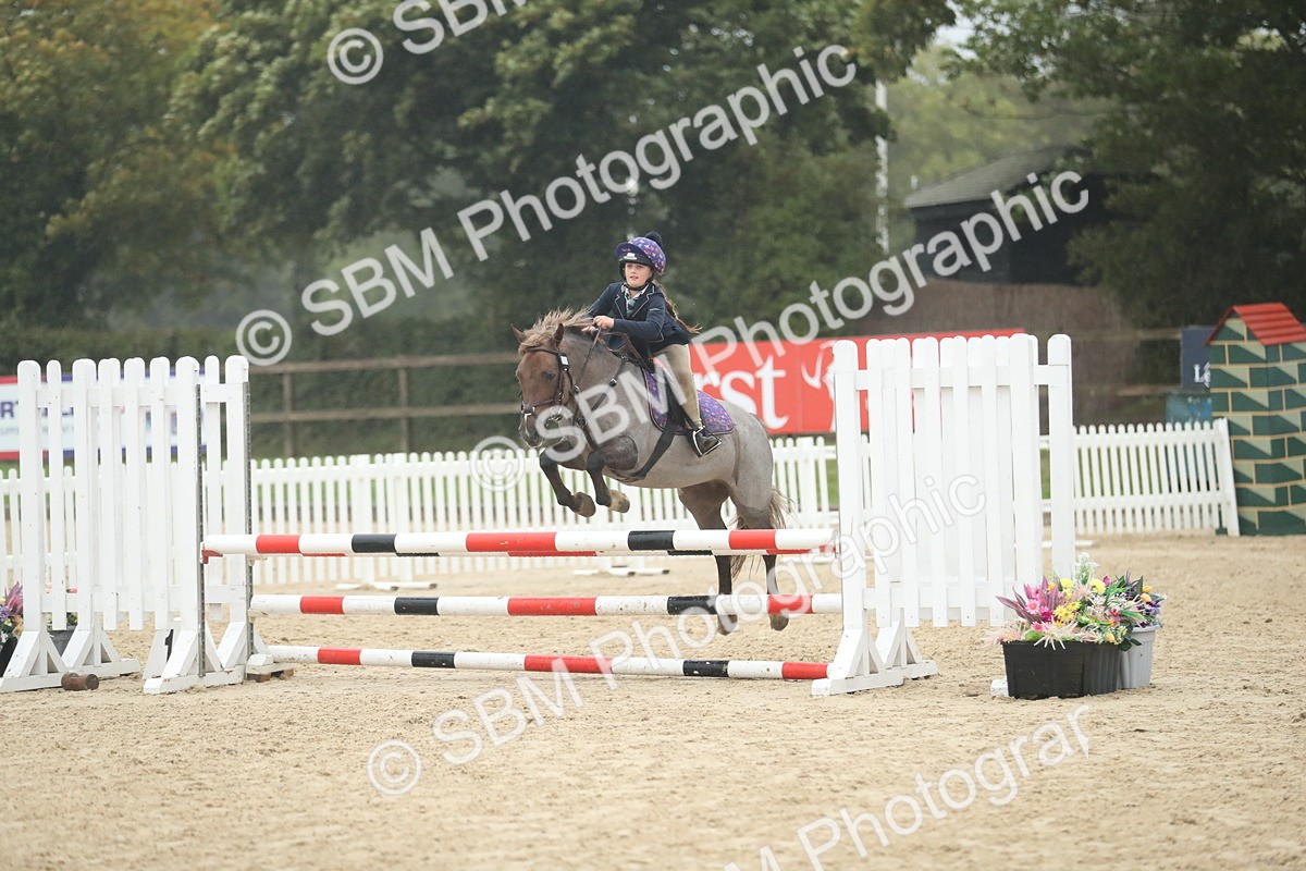 SBM_74243 - Supreme championship Junior Pony 70cm 75cm