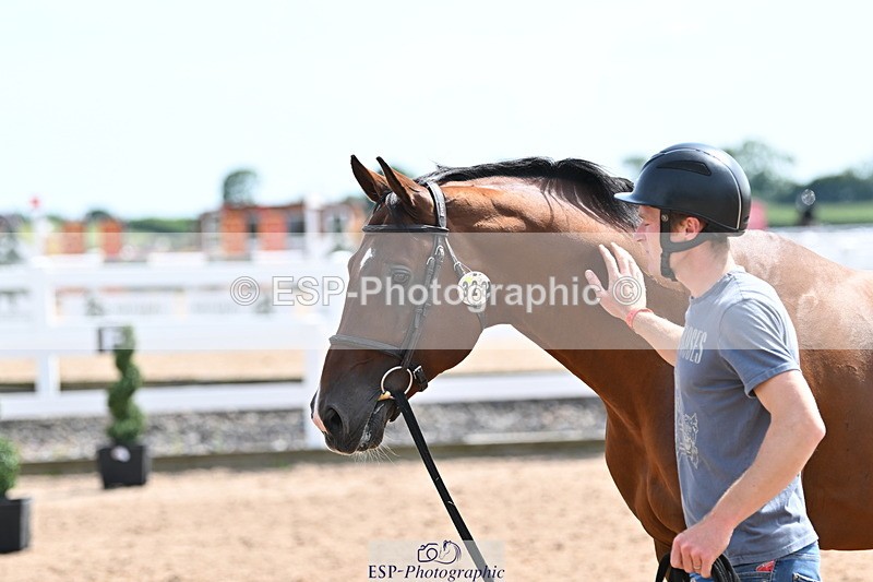 240717A-153030-02855 - Trot Up 3pm to 4pm