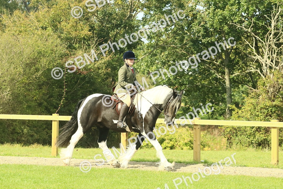 SBM_67468 - S56 - Coloured Pony Ridden