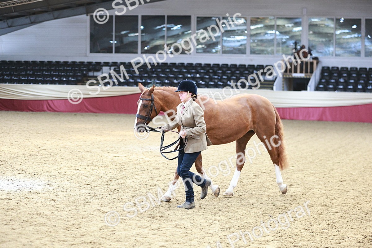 SBM_04795 - Class 7R - Regional IH Diamond