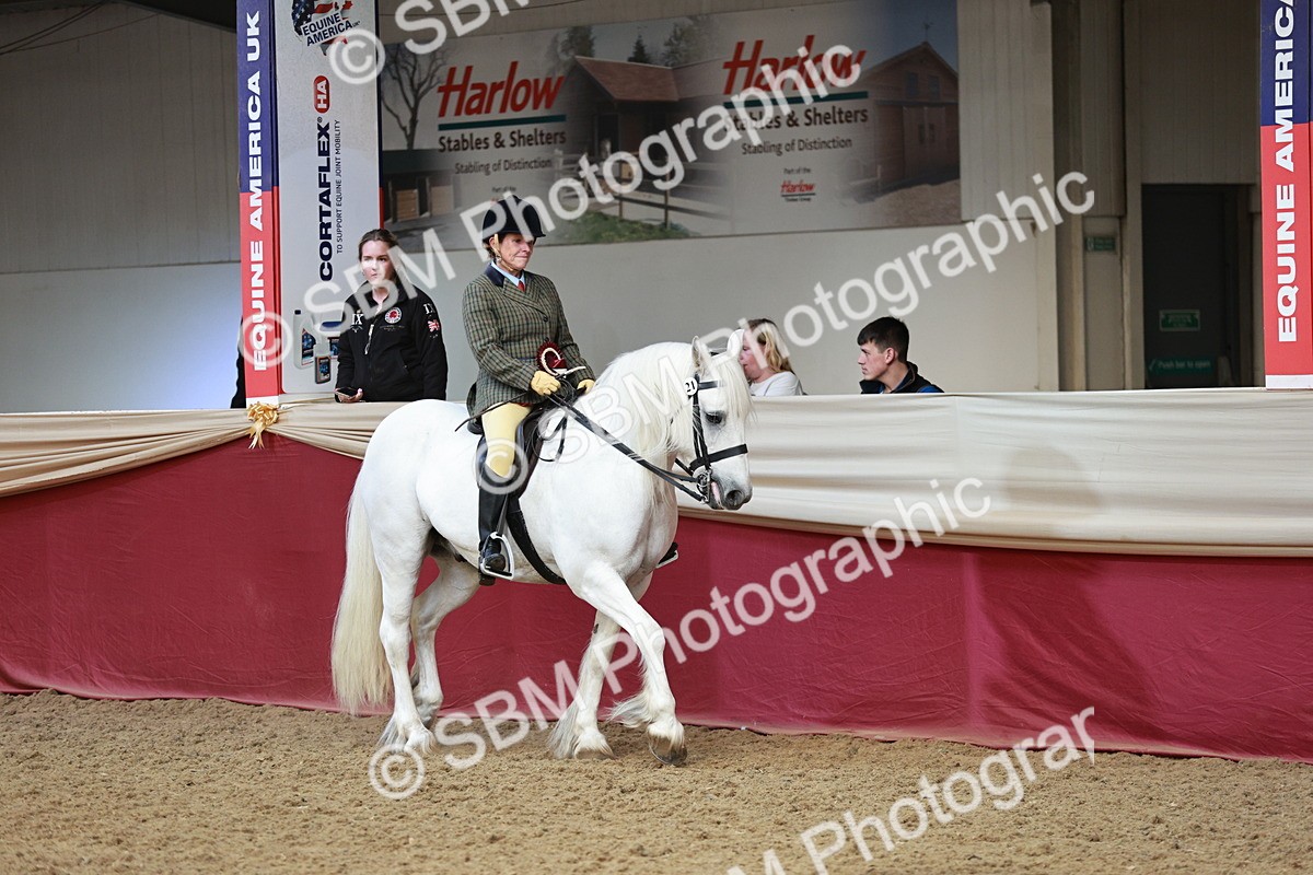 SBM_08622 - Regional Ridden Champ