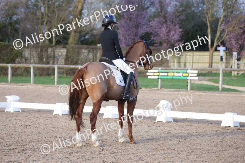 20260301-1332 - Class 14 - FEI Summer