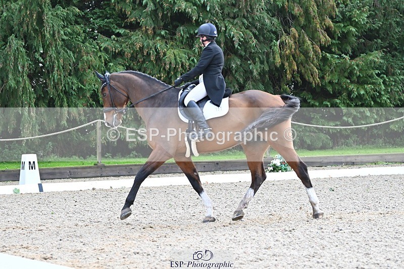 231019-110310-02028 - 105-BRIGHT.KNIGHT.III-Janet.Clarke-DR