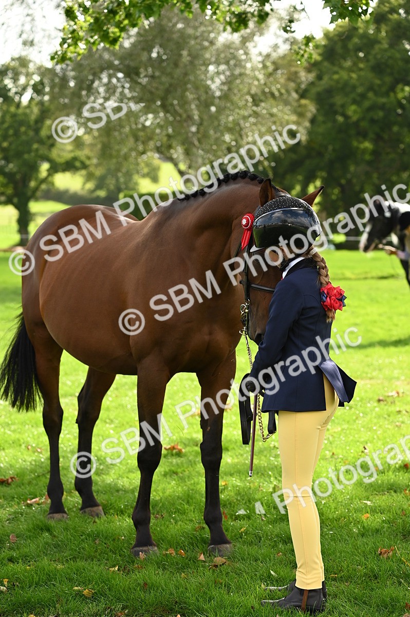 SBM_25028 - S5 - Novice & Newcomer In hand