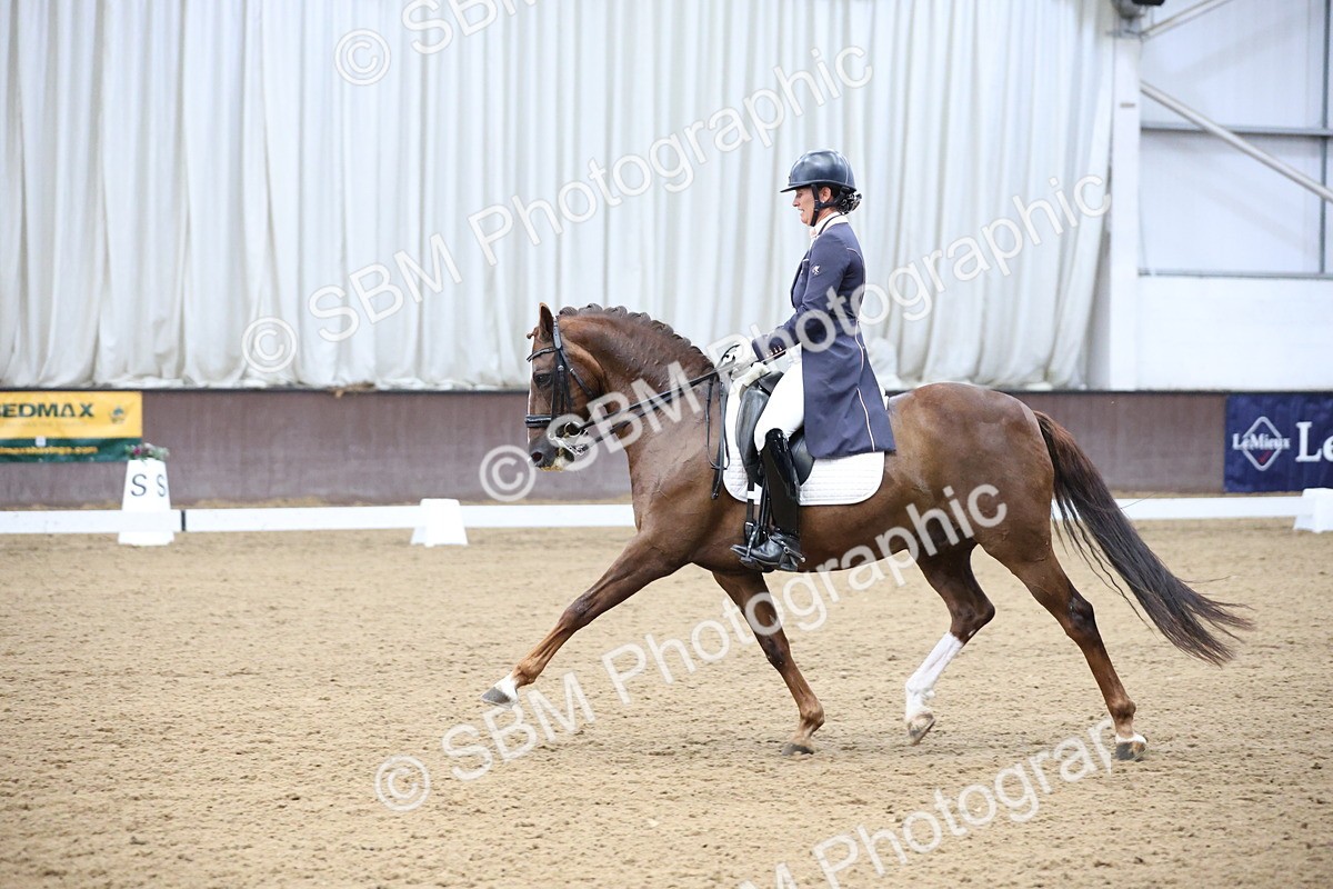 SBM_004862 - Class 9 - FEI Inter 1 Gold - 16.59-17.47