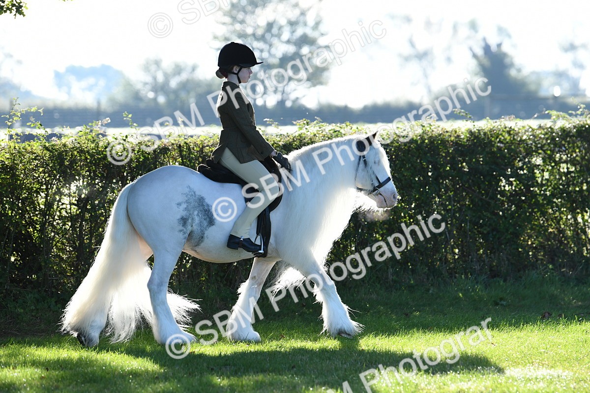 SBM_33857 - S16 - Condition & Turnout - Ridden
