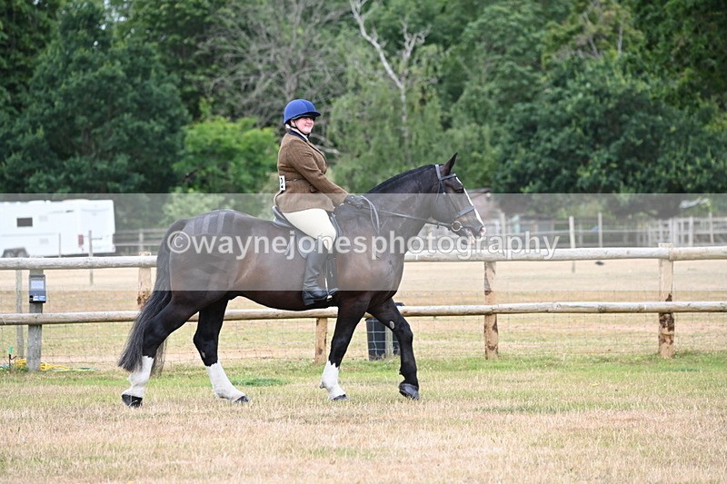 WJ6_3724 - Class 9 Tack & Turnout