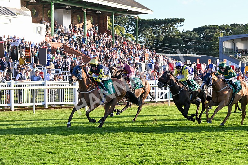 160824-Race 5-Ready Freddie Go-9584 - Race 5